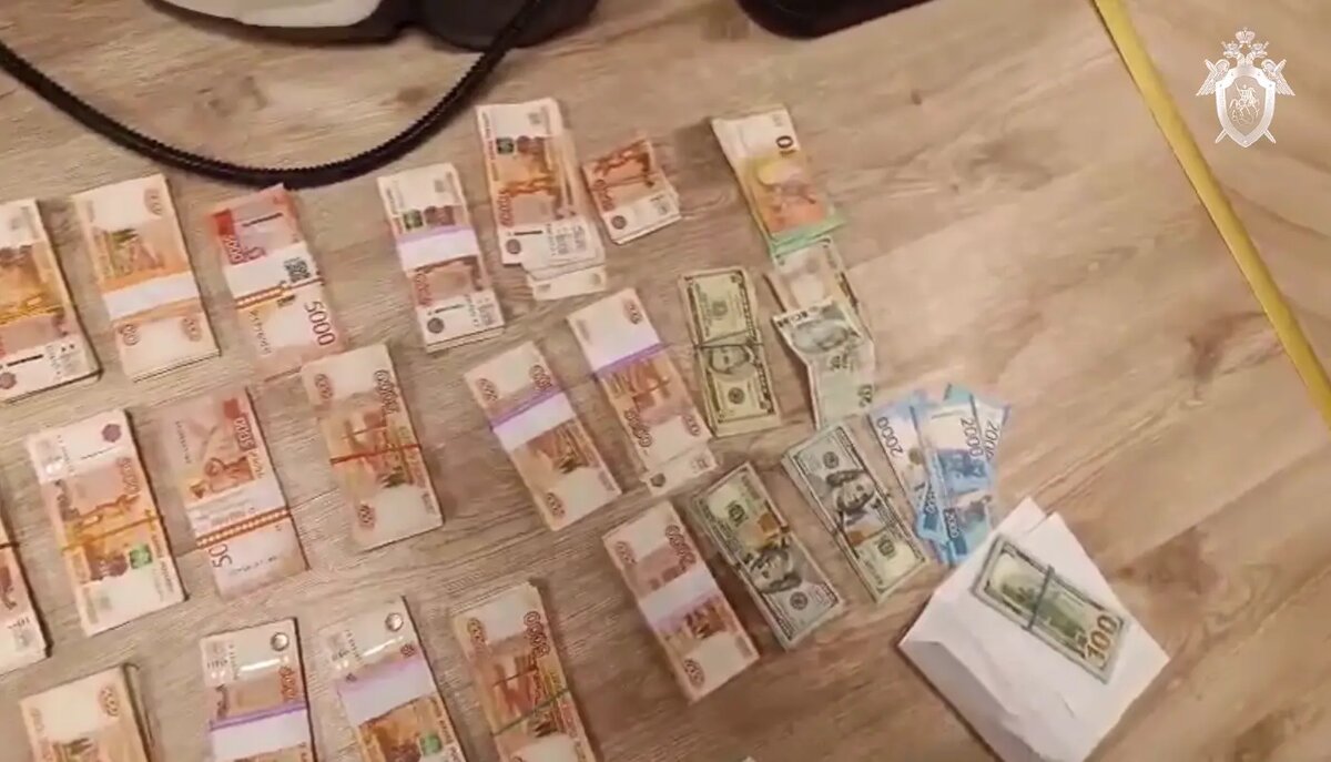    Фото: скрин видео СУ СК России по Ленобласти