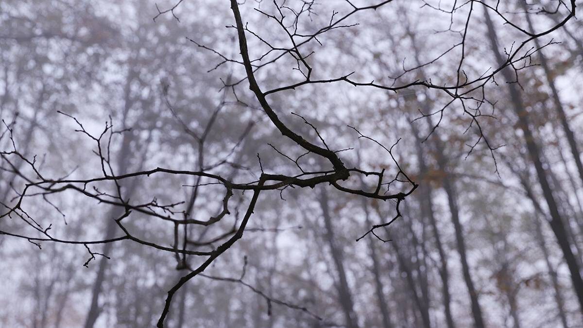    Фото: Анатолий Цымбалюк / Вечерняя Москва