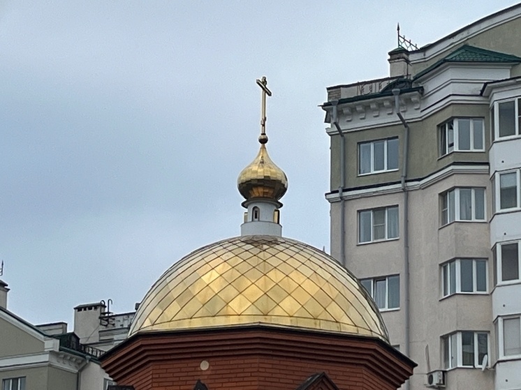     Фото: "МК в Орле"/Марианна Альянова