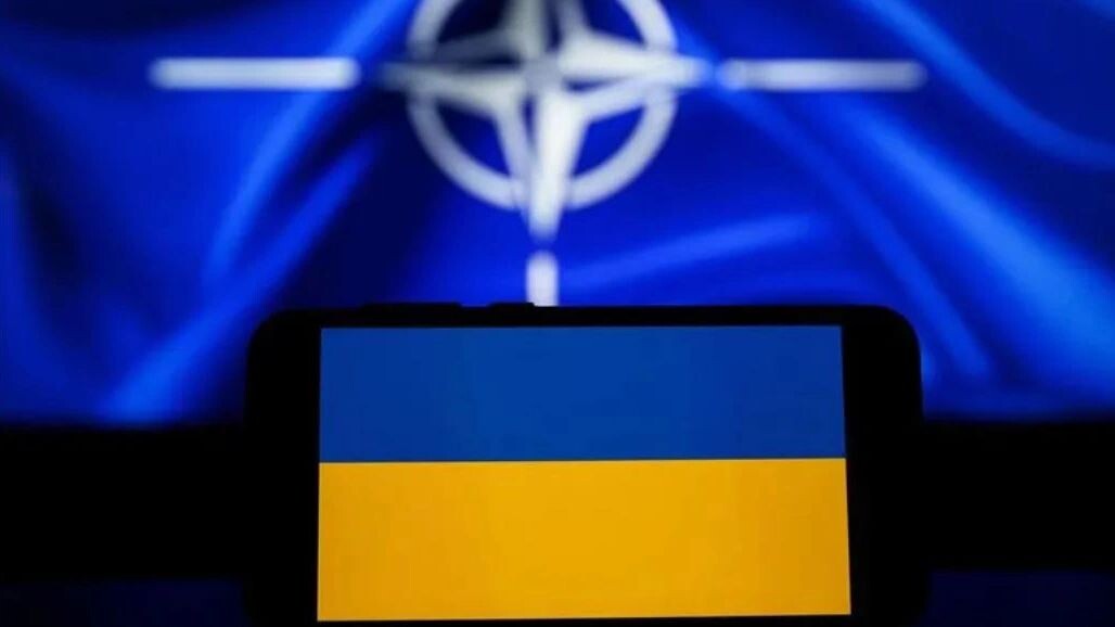    Фото: Rokas Tenys/Shutterstock/Fotodom