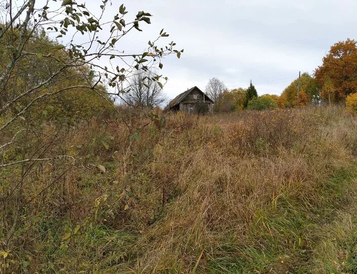 Михайлов день, приметы, 21 ноября