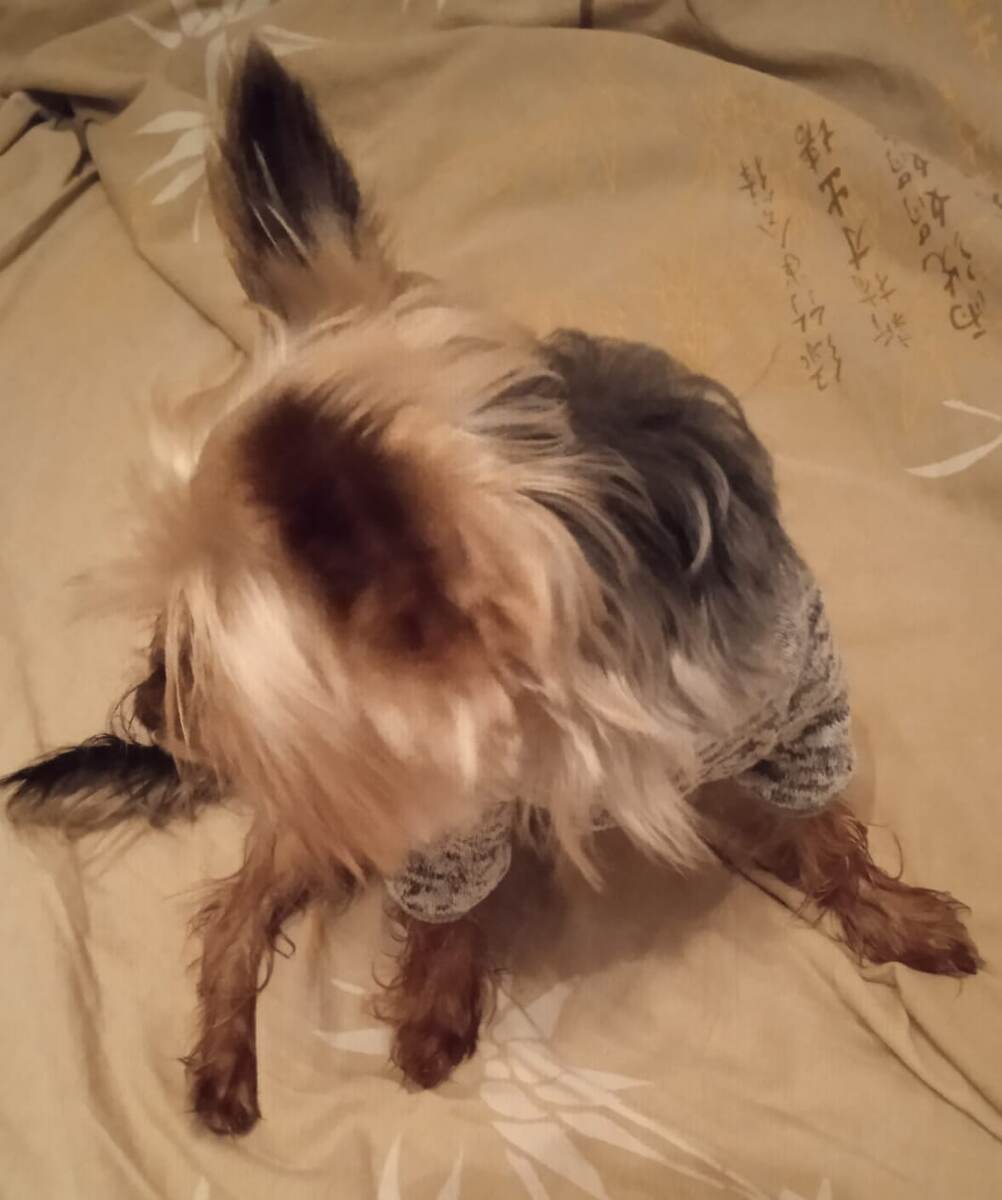 Попытка сфотографировать