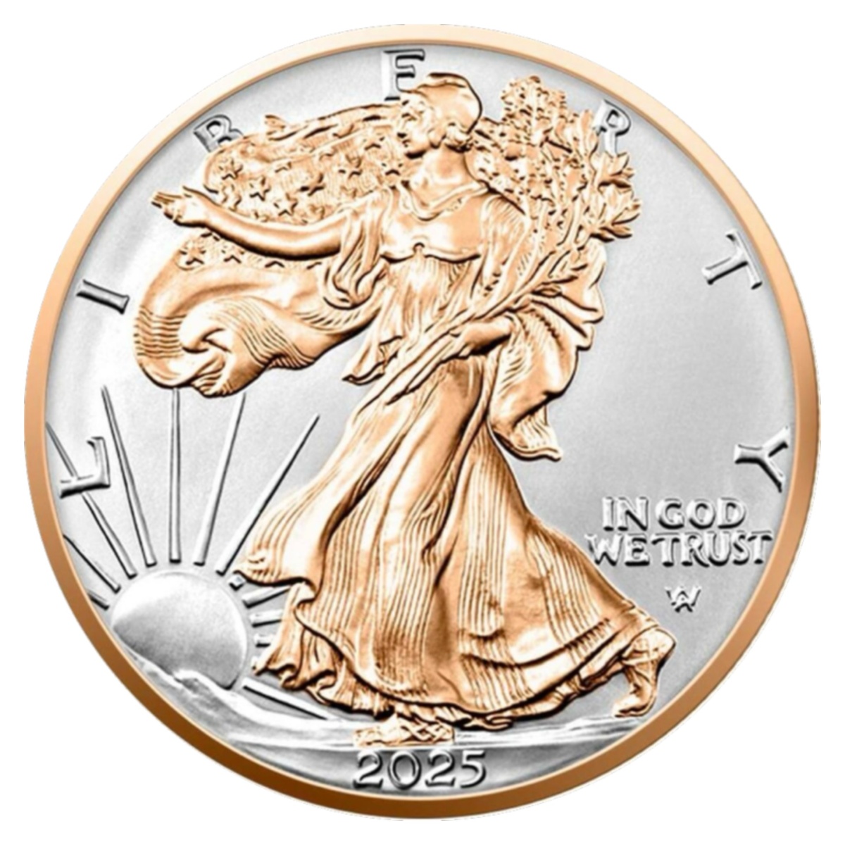 1 доллар США 2025 года (реверс). Источник: ma-shops.co.uk