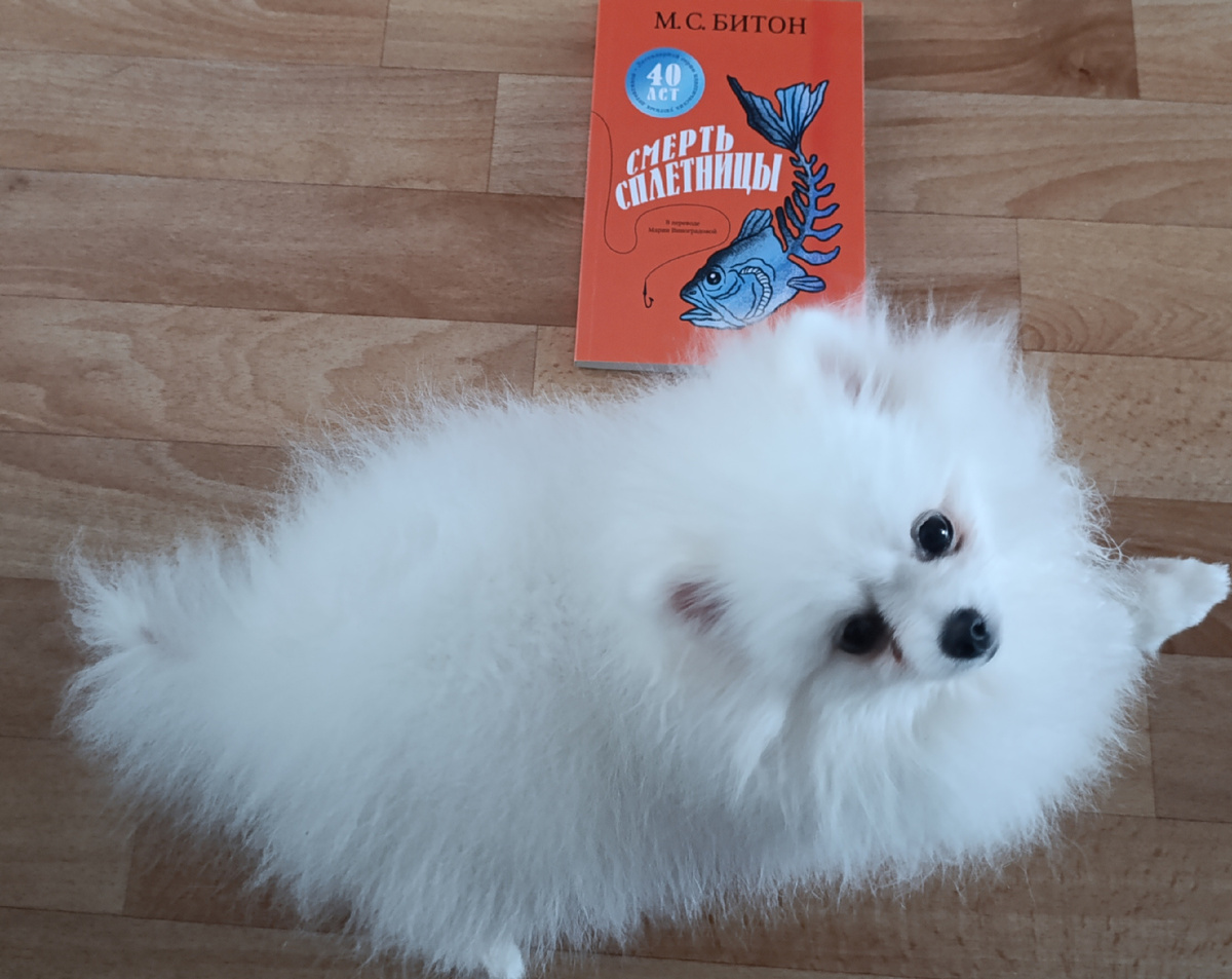 Сегодня книгу, которой предстоит стать последней читаемой в году, представляет Бэлка. 