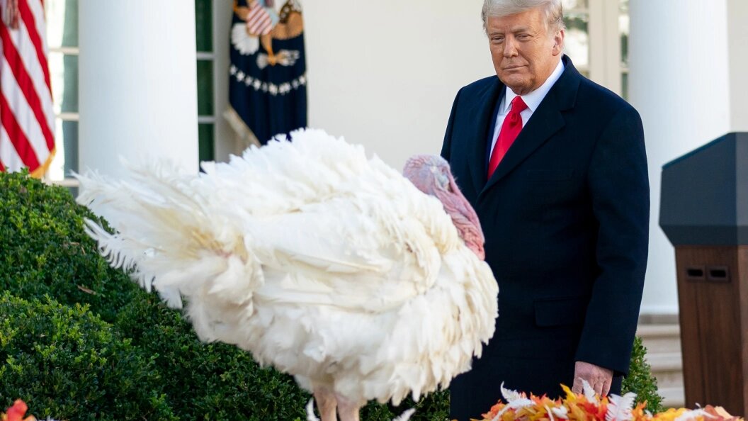    Фото: White House /Globallookpress