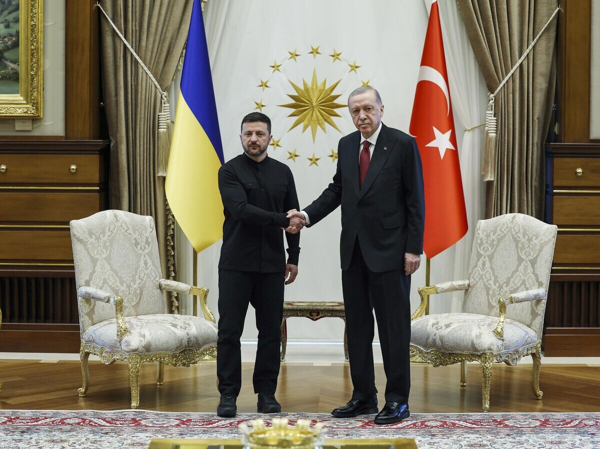    Встреча президента Турции Реджепа Тайипа Эрдогана с Владимиром Зеленским© AP Photo / Turkish Presidency
