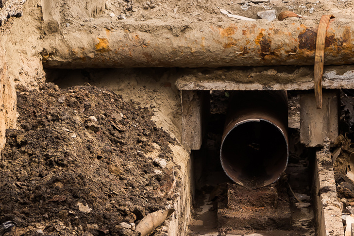    Фото Андрея Заржецкого