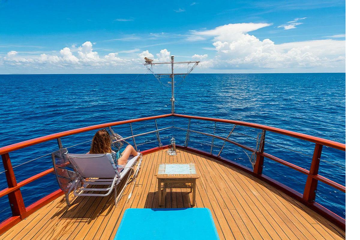    Фото: коллаж RuNews24.ru