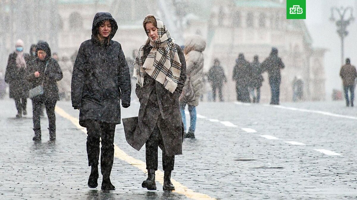    Фото: Юлия Иванко \ mos.ru