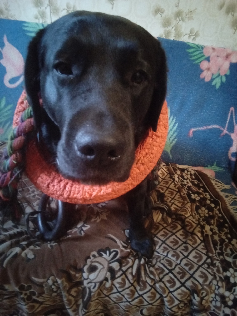 Фото автора. 