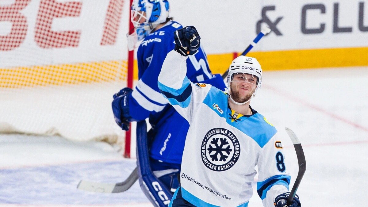     Источник: ХК «Сибирь»