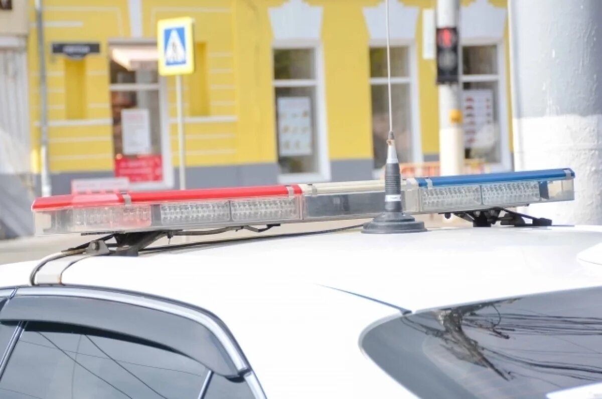    В Тульской области зарегистрировано 278 наездов на пешеходов