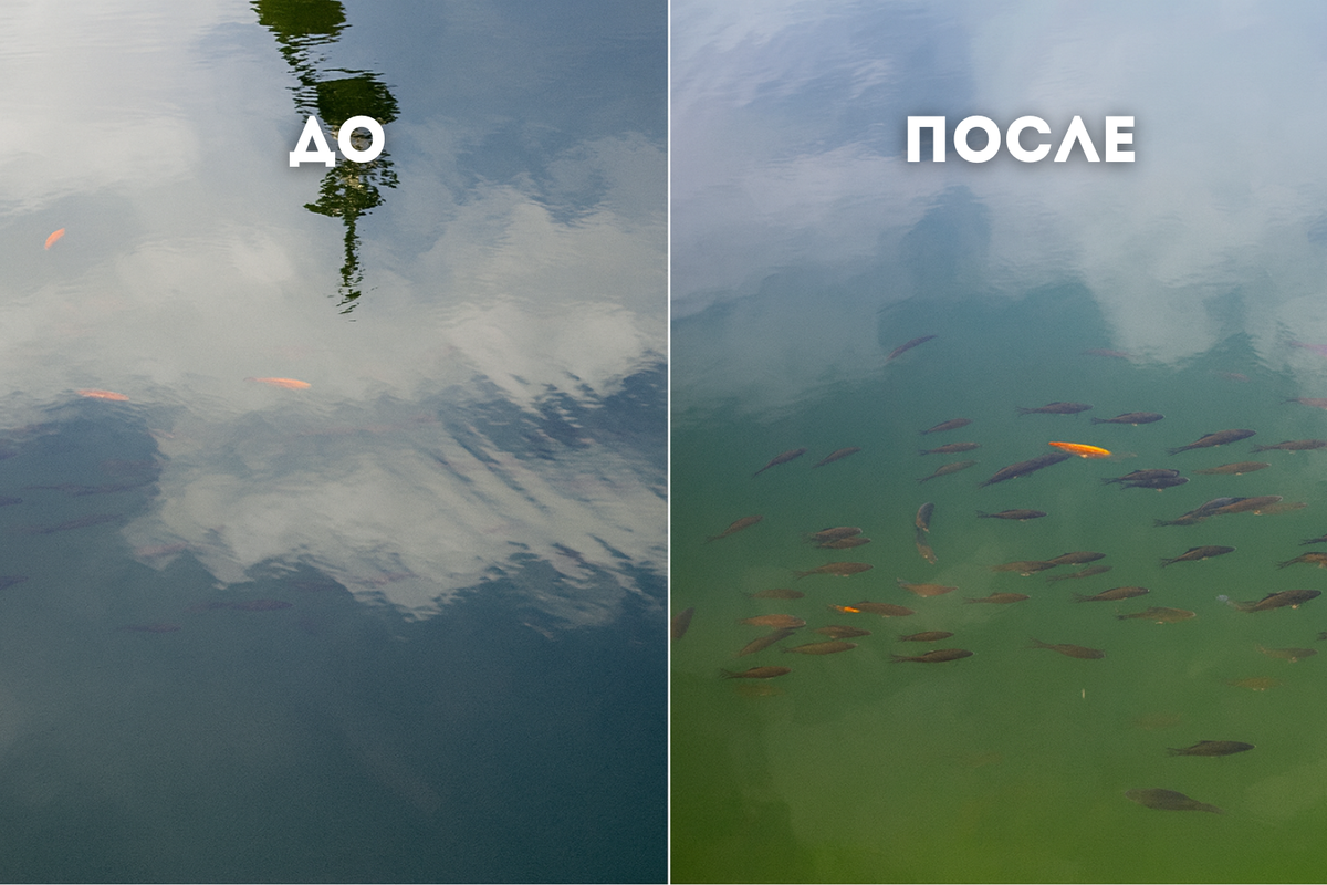 Очки с поляризацией для рыбалки: до и после.