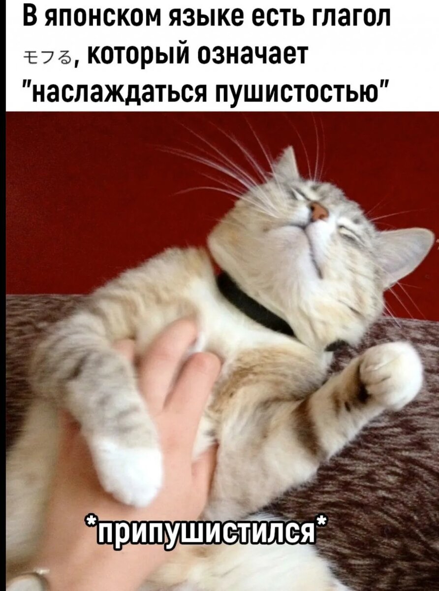 Правда, мило?!