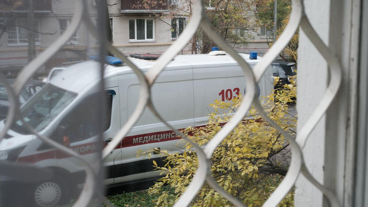    Фото: ИЗВЕСТИЯ/Сергей Виноградов