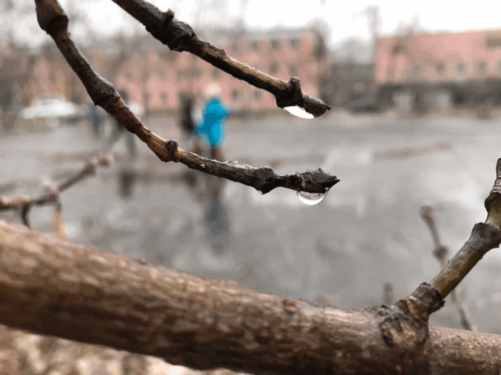    Фото: v-kurse.ru Ольга Гилёва