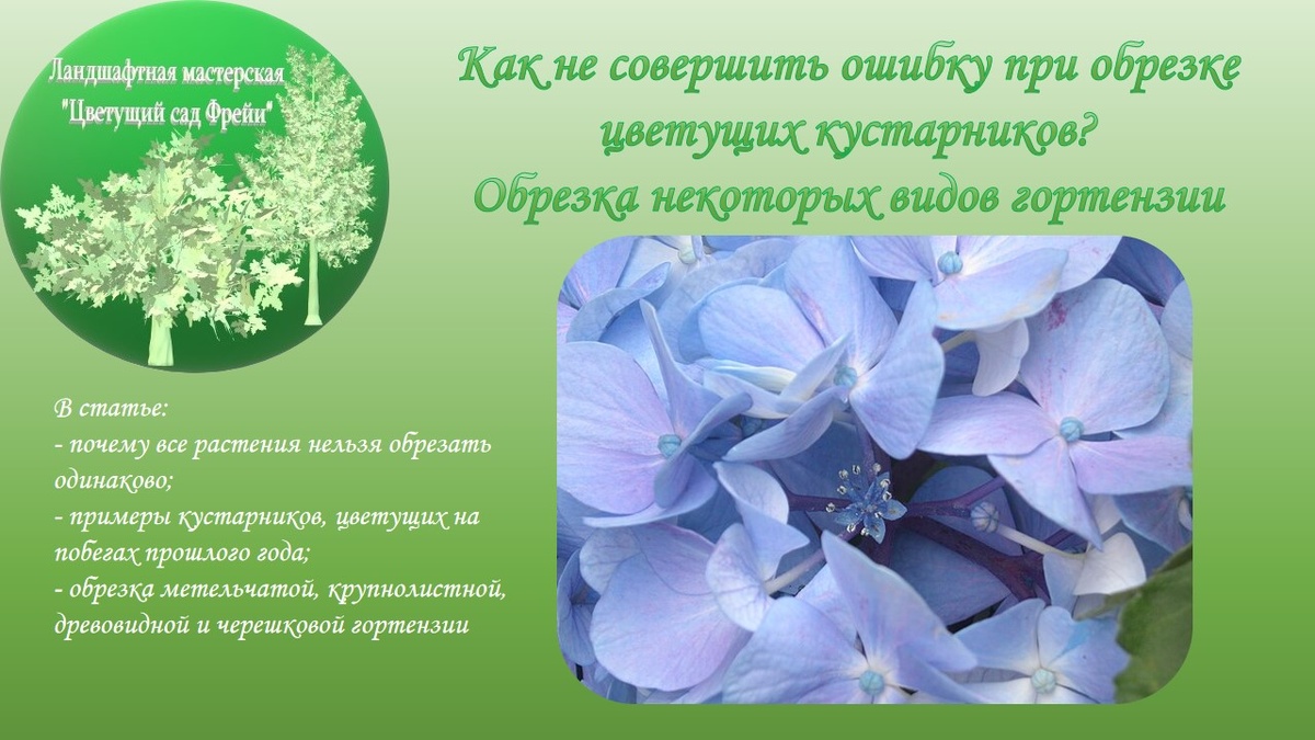 Фото автора с использованием изображения по Лицензии CC0.