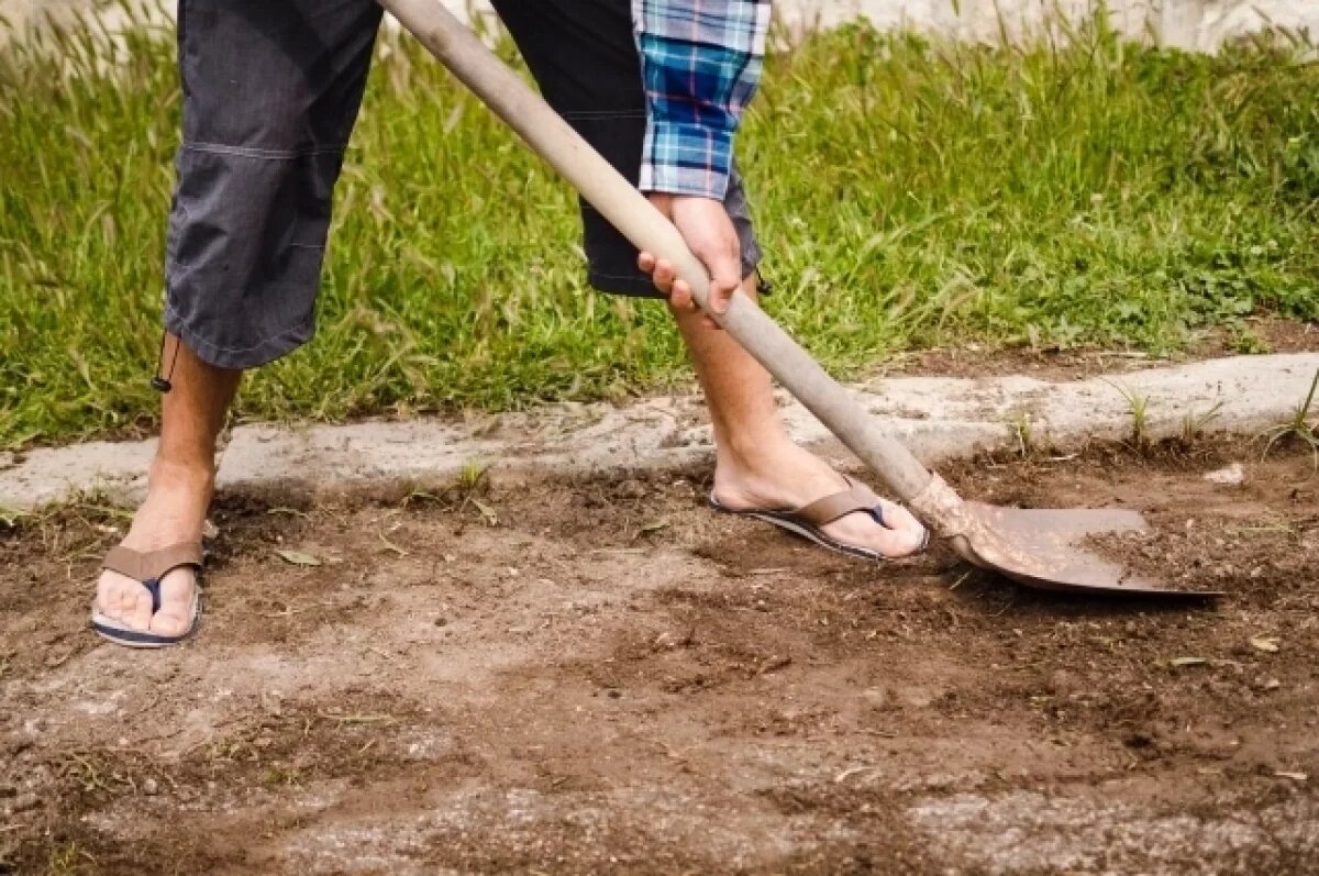    МВД: В Липецкой области задержали двух черных копателей