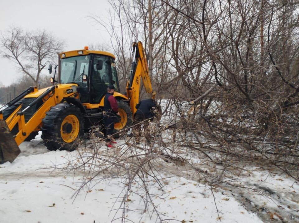    Реновация зеленых насаждений в парке имени Ленина. Источник: barnaul.org