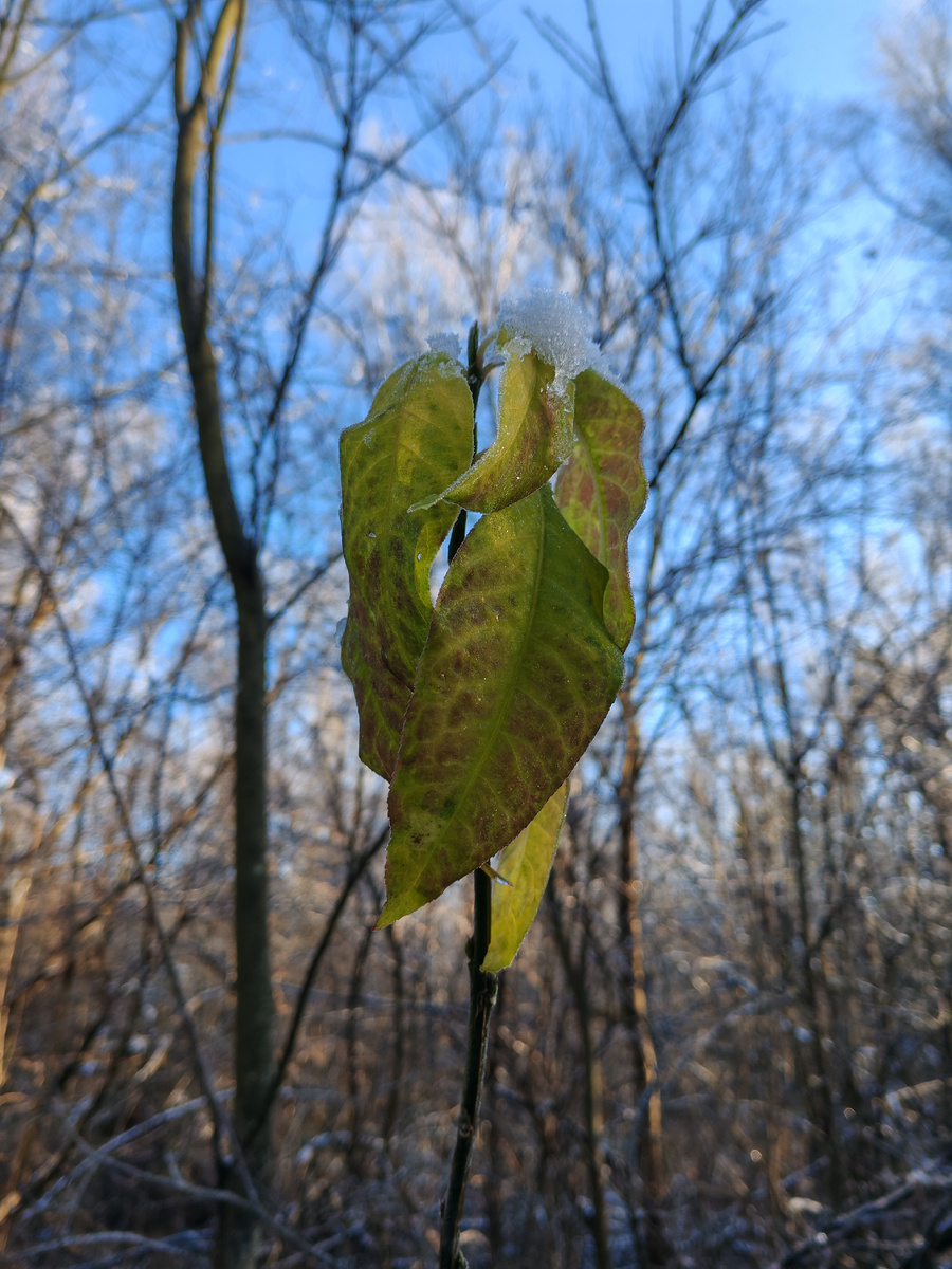 Будьте счастливы! 