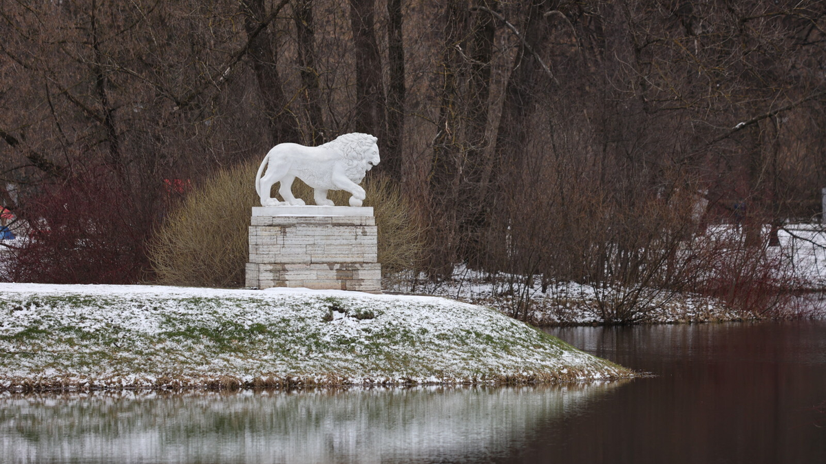 Фото: Дмитрий Фуфаев 