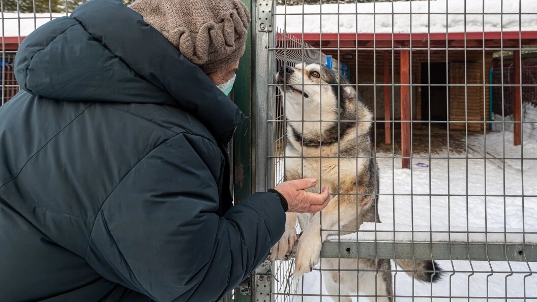    Фото: Komsomolskaya Pravda/Globallookpress.