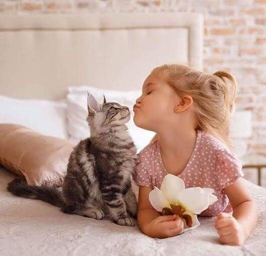 Почему посты про котиков и маленьких детей набирают больше всего лайков?