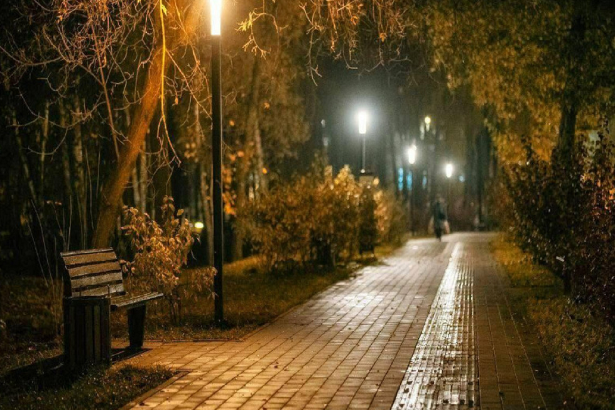    Фото: Пресс-служба, источник: Минблаго МО