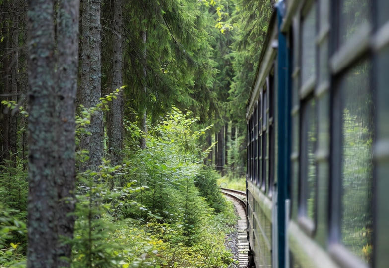 Семья. Всё налаживается
