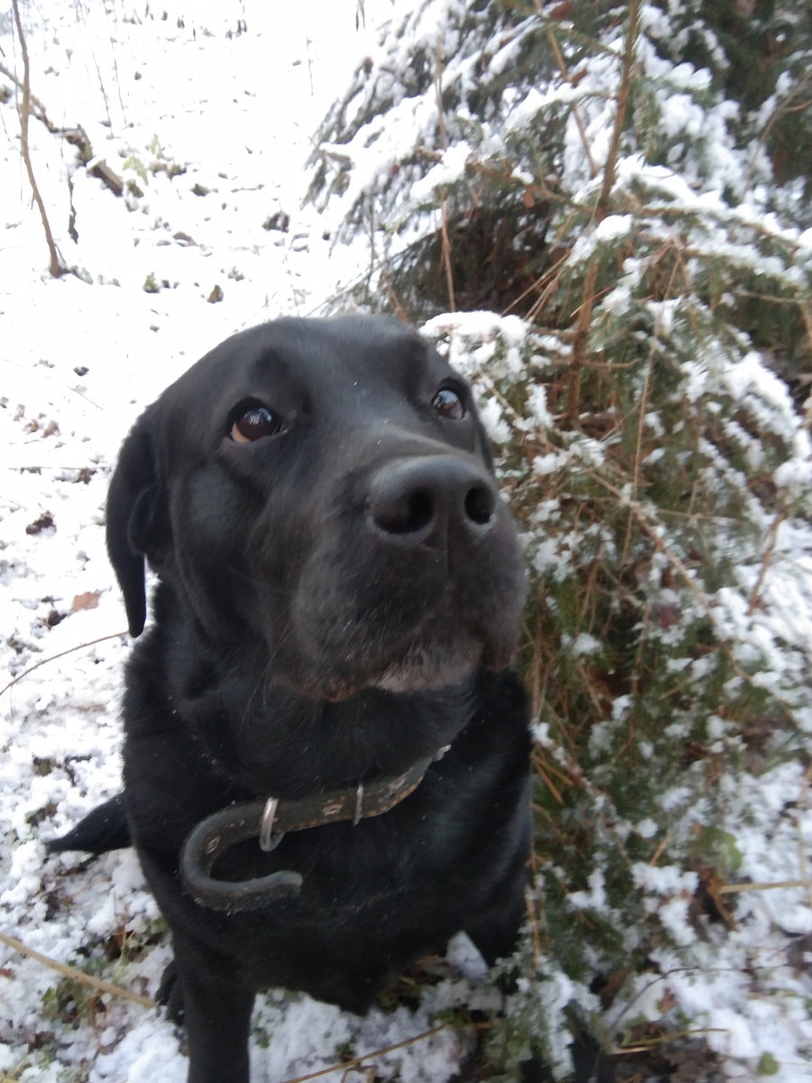 Фото автора. 