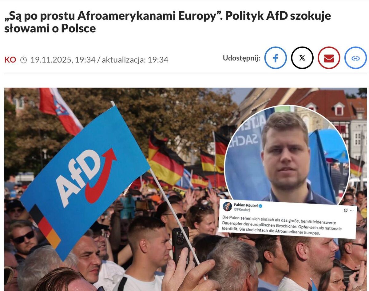    Польша оскорбилась: в Германии поляков назвали «афроамериканцами Европы»