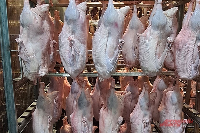    Покупайте мясо только у проверенных производителей! Фото: АиФ/ Георгий Зотов