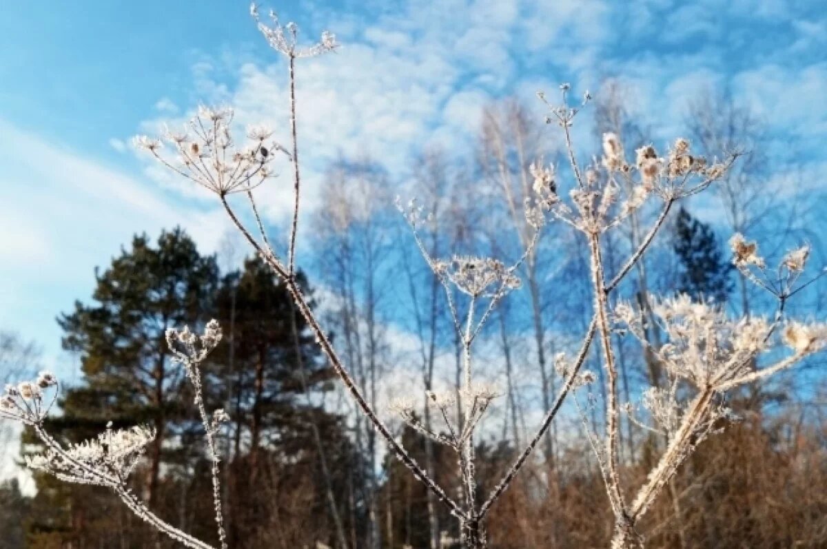   До +4 градусов ожидается в Псковской области 21 ноября