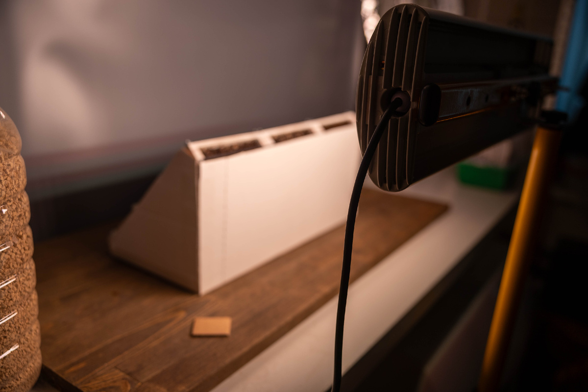 Все фото авторские