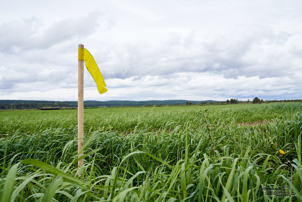    Фото Лидия Аникина © ИА «Уральский меридиан»
