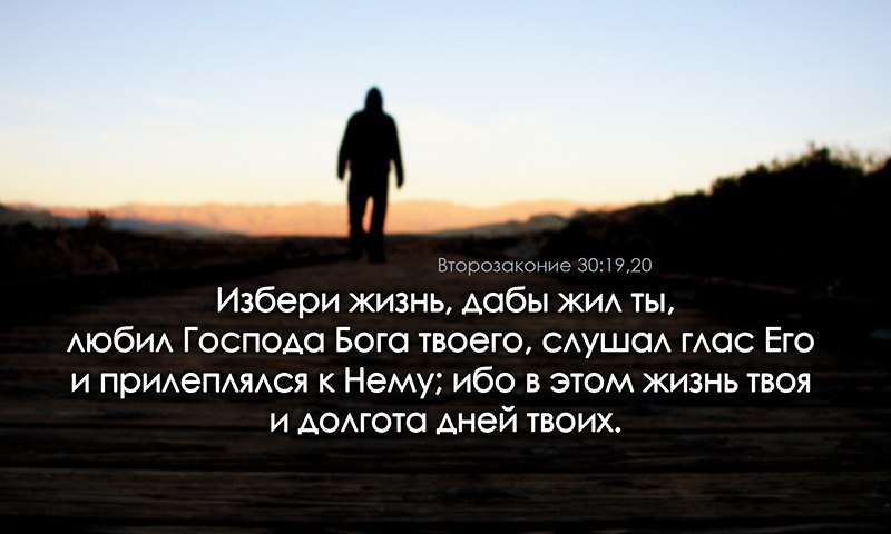 Картинка взята из общего и свободного доступа в интернет