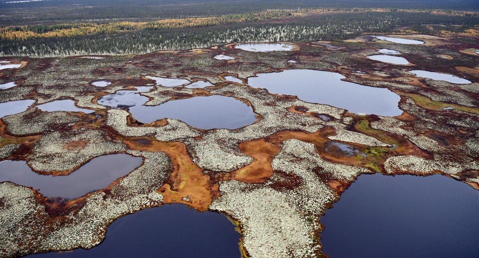    РИА «Новости»