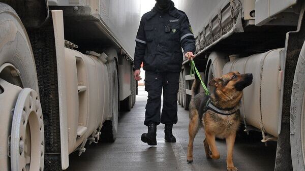    © Sputnik / Виктор Толочко