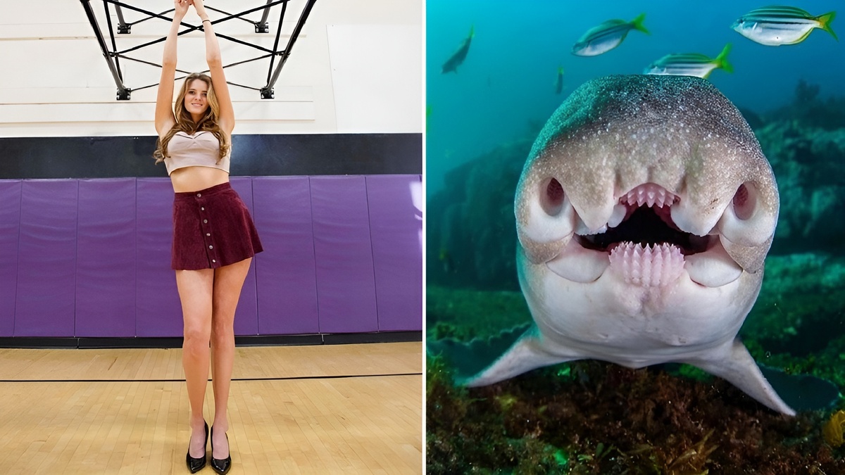 28 невероятных фотофактов, от которых вы на секунду перестанете моргать