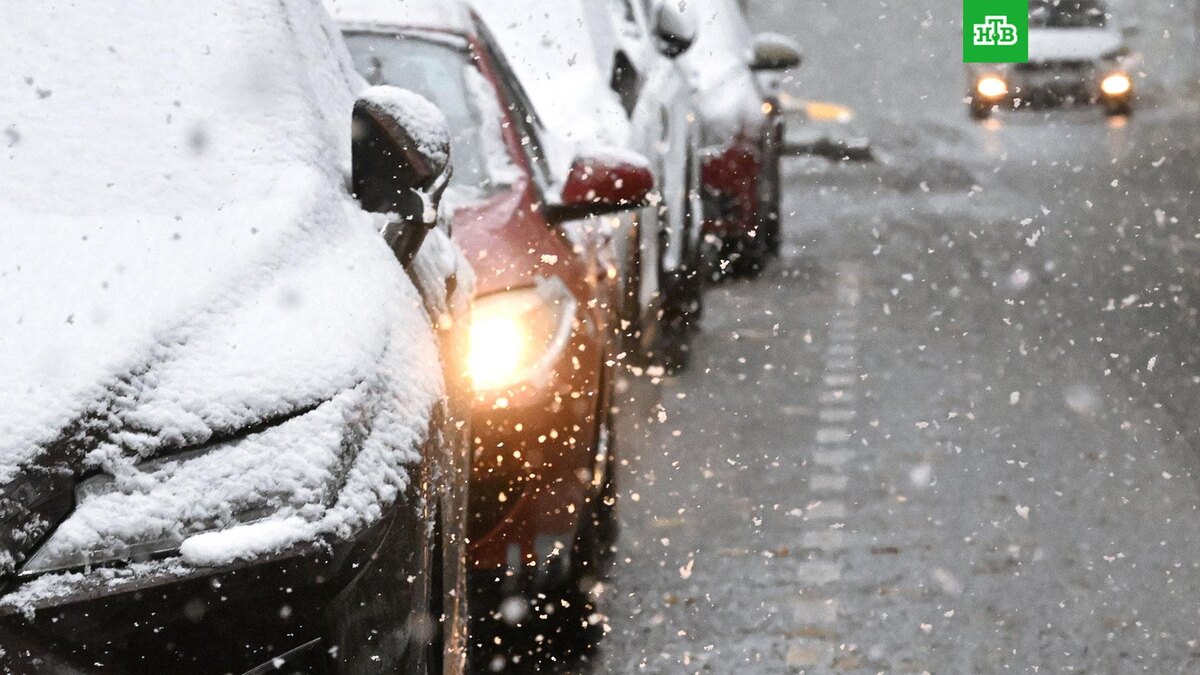    Фото: РИА Новости © 2025, Владимир Федоренко