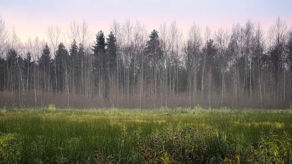 Ноябрьская акварель