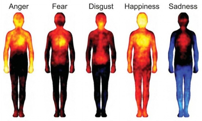 Кожа как зеркало души: когда эмоции проявляются через тело
