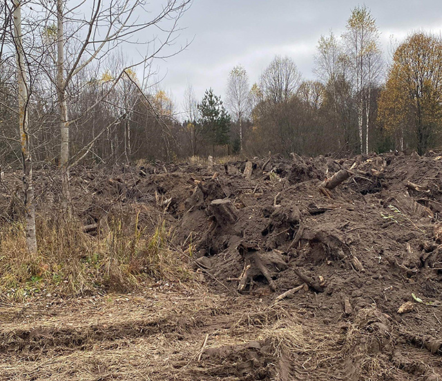 Собственники приобрели сельхозземлю в Тверской области, а на ней – свалка. Убрать