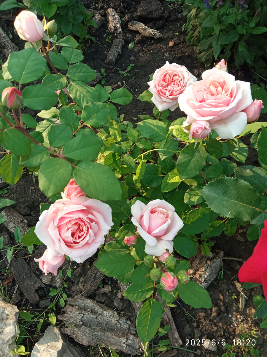 фото личное