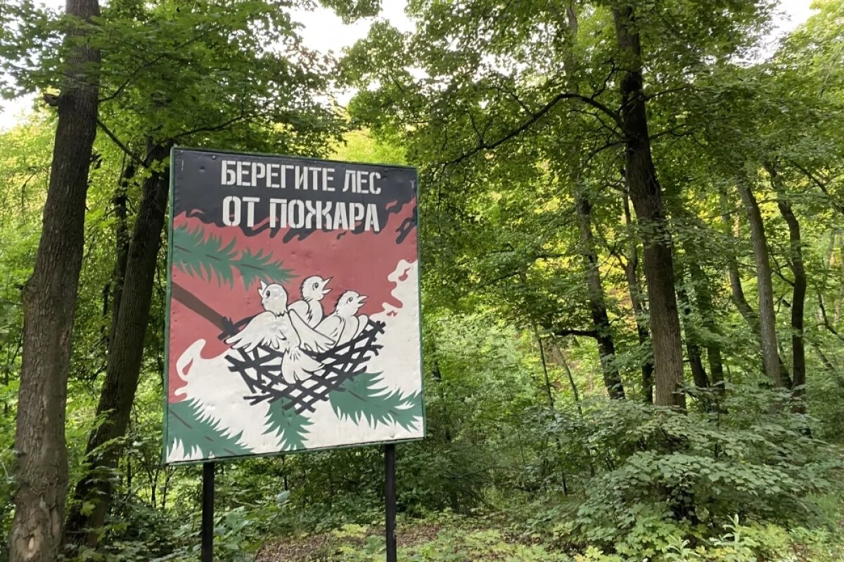    Саратовская область лидирует по скорости тушения лесных пожаров