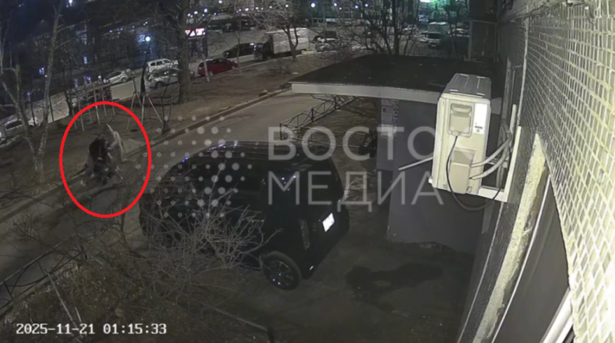    Источник фото: