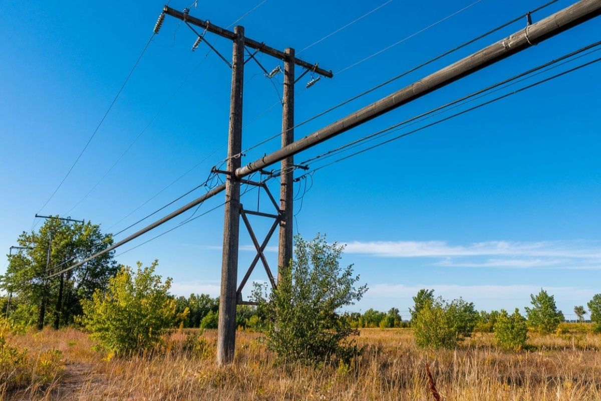    Фото: Коллаж RuNews24.ru