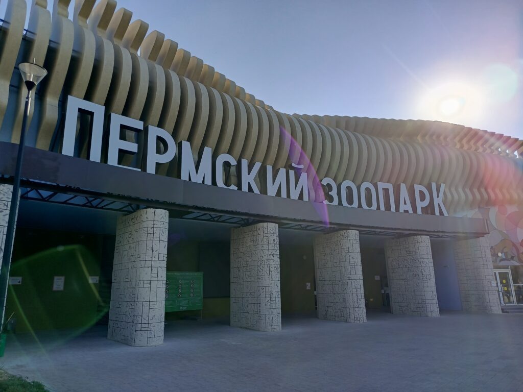    Фото: Ульяна Бажанова Ульяна Бажанова