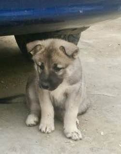 Вот такой я ее увидела