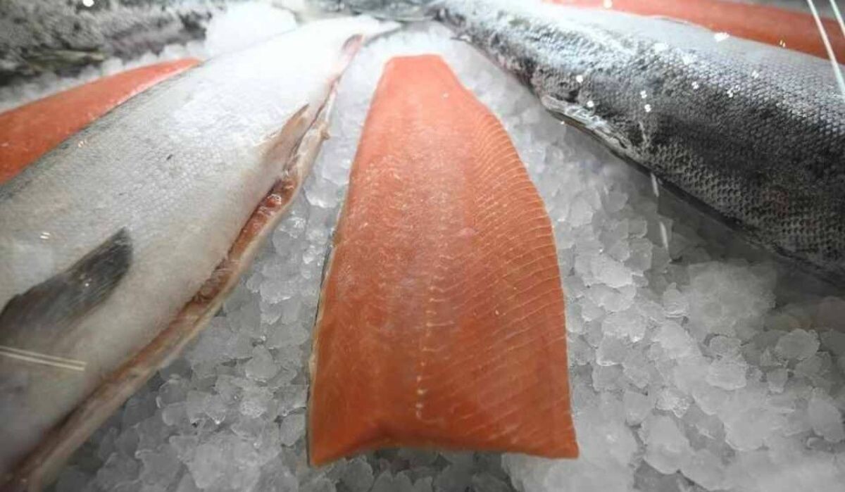     Красная рыба. Источник: omsk.kp.ru Автор фото: Алексей Булатов